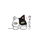 猫のきっしー（個別スタンプ：7）