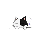 猫のきっしー（個別スタンプ：10）