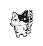 猫のきっしー（個別スタンプ：11）