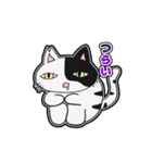 猫のきっしー（個別スタンプ：12）