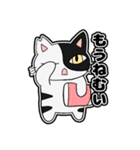 猫のきっしー（個別スタンプ：19）