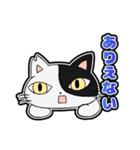 猫のきっしー（個別スタンプ：21）