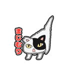 猫のきっしー（個別スタンプ：22）