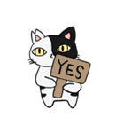 猫のきっしー（個別スタンプ：23）