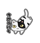猫のきっしー（個別スタンプ：24）