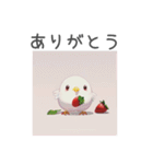 いちごと鳥（個別スタンプ：31）