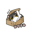 猫のモチ - Pawsome Island（個別スタンプ：6）