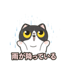 猫のモチ - Pawsome Island（個別スタンプ：18）