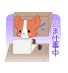 ちびパピヨン10【いま何してる？】（個別スタンプ：7）