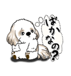 シーズー犬 『感情を伝えよう』（個別スタンプ：3）