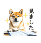 柴犬スタンプ：丁寧な言葉（個別スタンプ：9）