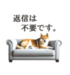 柴犬スタンプ：丁寧な言葉（個別スタンプ：25）