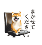 柴犬スタンプ：丁寧な言葉（個別スタンプ：30）