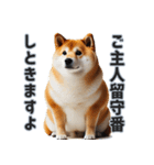 忠犬（ふとっちょ）（個別スタンプ：2）