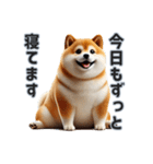 忠犬（ふとっちょ）（個別スタンプ：7）