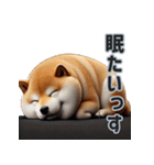 忠犬（ふとっちょ）（個別スタンプ：20）