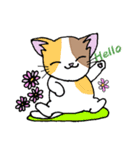 HOUSENKA CAT’S ROOM illustration no.4（個別スタンプ：2）