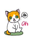 HOUSENKA CAT’S ROOM illustration no.4（個別スタンプ：21）