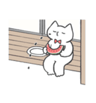 赤推しねこ(夏)（個別スタンプ：14）