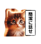 暴言苦言猫ちゃん（個別スタンプ：3）