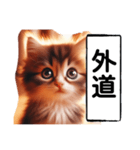 暴言苦言猫ちゃん（個別スタンプ：5）