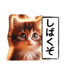 暴言苦言猫ちゃん（個別スタンプ：7）