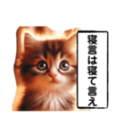 暴言苦言猫ちゃん（個別スタンプ：13）