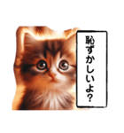 暴言苦言猫ちゃん（個別スタンプ：15）