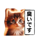 暴言苦言猫ちゃん（個別スタンプ：17）