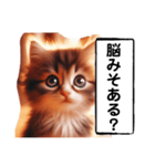 暴言苦言猫ちゃん（個別スタンプ：19）