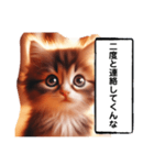 暴言苦言猫ちゃん（個別スタンプ：24）