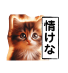 暴言苦言猫ちゃん（個別スタンプ：30）