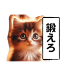 暴言苦言猫ちゃん（個別スタンプ：36）