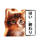 暴言苦言猫ちゃん（個別スタンプ：37）