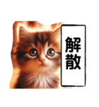 暴言苦言猫ちゃん（個別スタンプ：38）