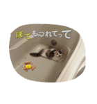 ぽてぽてポテさん（個別スタンプ：2）