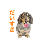 ピュアなわたし（個別スタンプ：10）