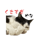 みい子からねえねえへ6（個別スタンプ：5）