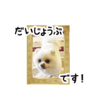 マダム洋子の愛犬 ペコちゃんのCLOSET（個別スタンプ：2）