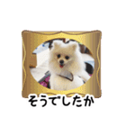 マダム洋子の愛犬 ペコちゃんのCLOSET（個別スタンプ：10）