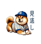 野球柴犬【連絡・スポーツ】（個別スタンプ：18）