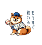 野球柴犬【連絡・スポーツ】（個別スタンプ：20）