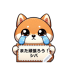 柴犬のメッセージスタンプ V1.1（個別スタンプ：14）