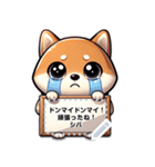 柴犬のメッセージスタンプ V1.1（個別スタンプ：15）