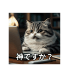 ちょっと太ってる猫（個別スタンプ：6）