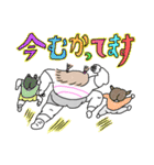 カラエブ敬語スタンプ（個別スタンプ：25）