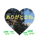 お疲れ様、お疲れ様。日本の紅葉季節は和む（個別スタンプ：5）