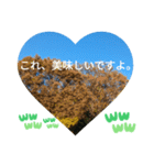 お疲れ様、お疲れ様。日本の紅葉季節は和む（個別スタンプ：9）