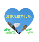 お疲れ様、お疲れ様。日本の紅葉季節は和む（個別スタンプ：10）