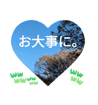 お疲れ様、お疲れ様。日本の紅葉季節は和む（個別スタンプ：12）